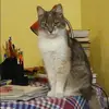 Отзыв от Олеся Дубровина